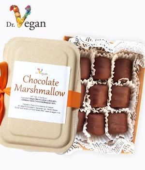 디핑 마시멜로우 초콜릿10개 (약180g) / 수제 비건초콜릿, 초코렛 신선식품 냉장배송