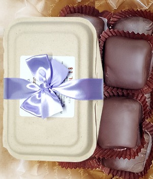 디핑 마시멜로우 초콜릿(10개, 약180g) / 수제 비건초콜릿, 초코렛 신선식품 냉장배송